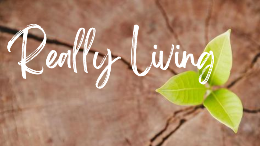 Really Living #4 - Audio