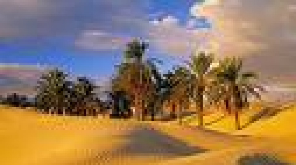 Oasis Community Church