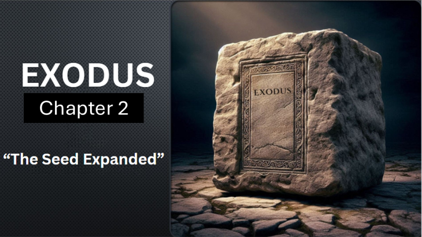 Exodus 2 - Audio