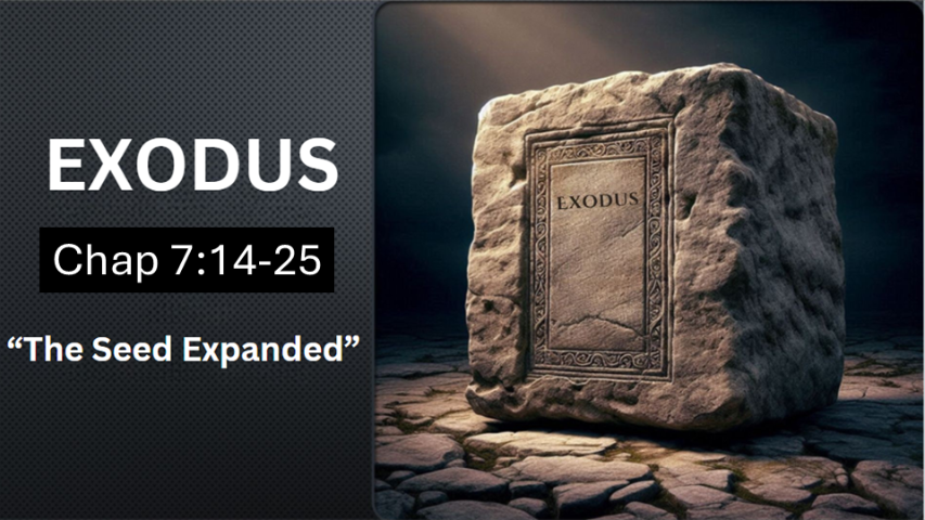 Exodus 7:14-25 - Audio