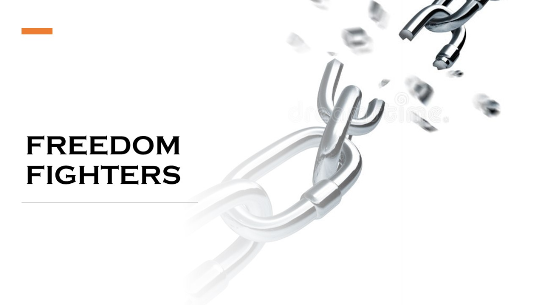 cover of episode Freedom Fighters