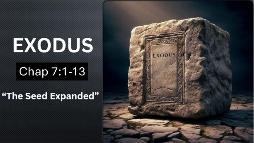 Exodus 7:1-13 - Audio