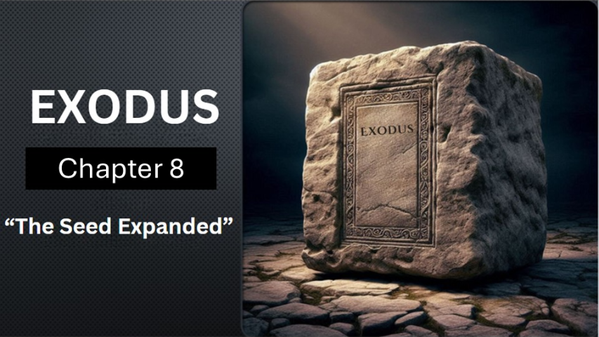 Exodus 8 - Audio