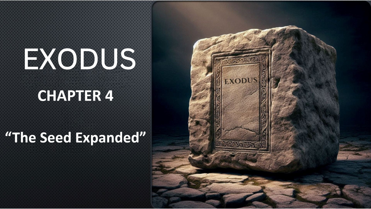 Exodus 4 - Audio