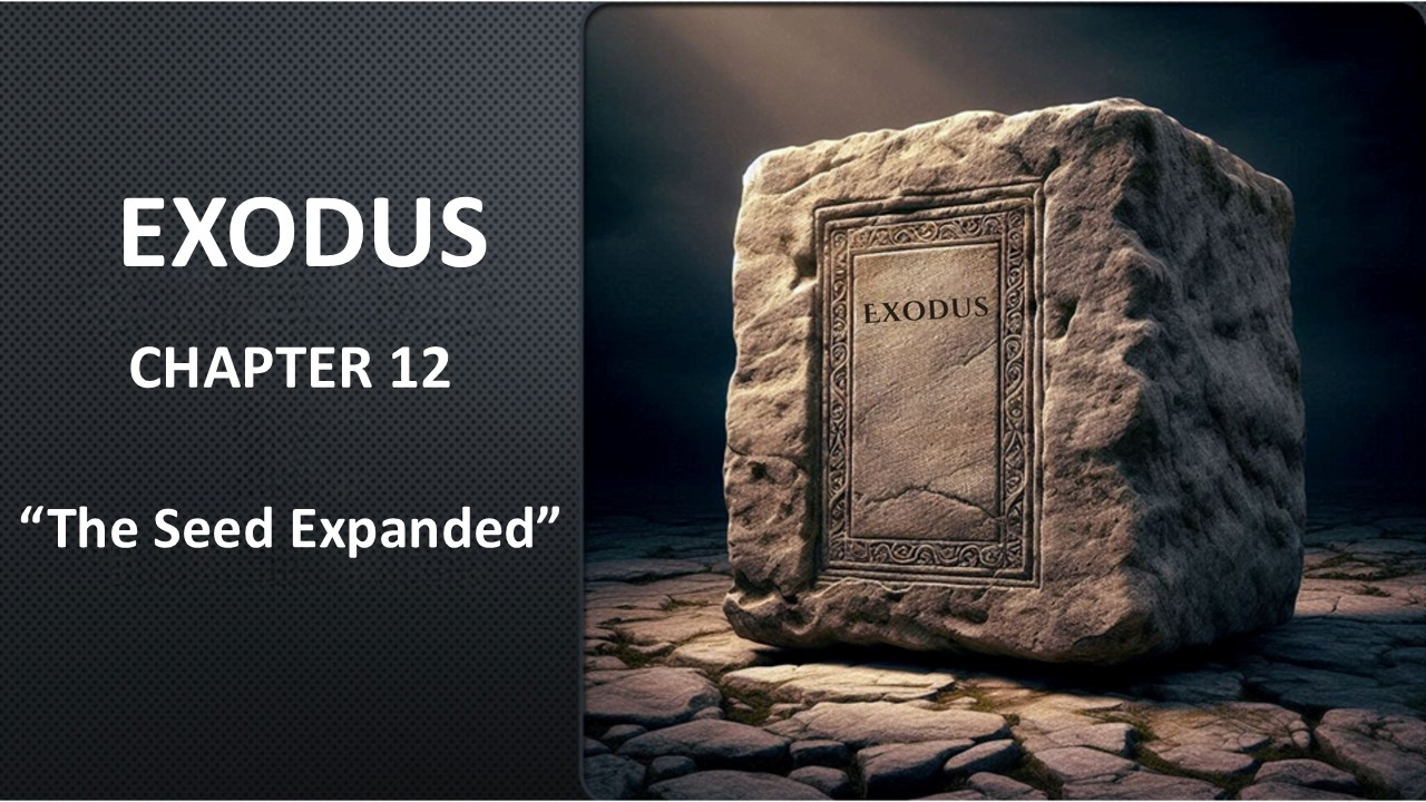 Exodus 12 - Audio