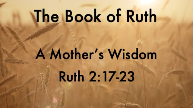A Mother’s Wisdom - 05/12/2024 episode artwork