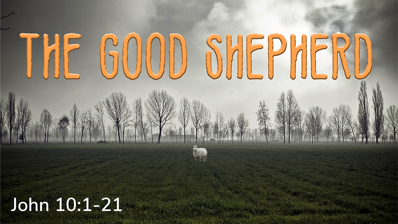 The Good Shepherd - 07/04/2021 episode artwork
