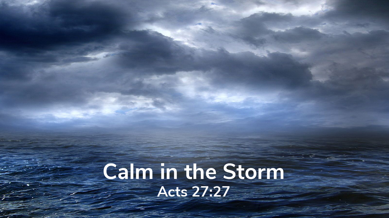 Calm in the Storm - 08/23/2020 episode artwork