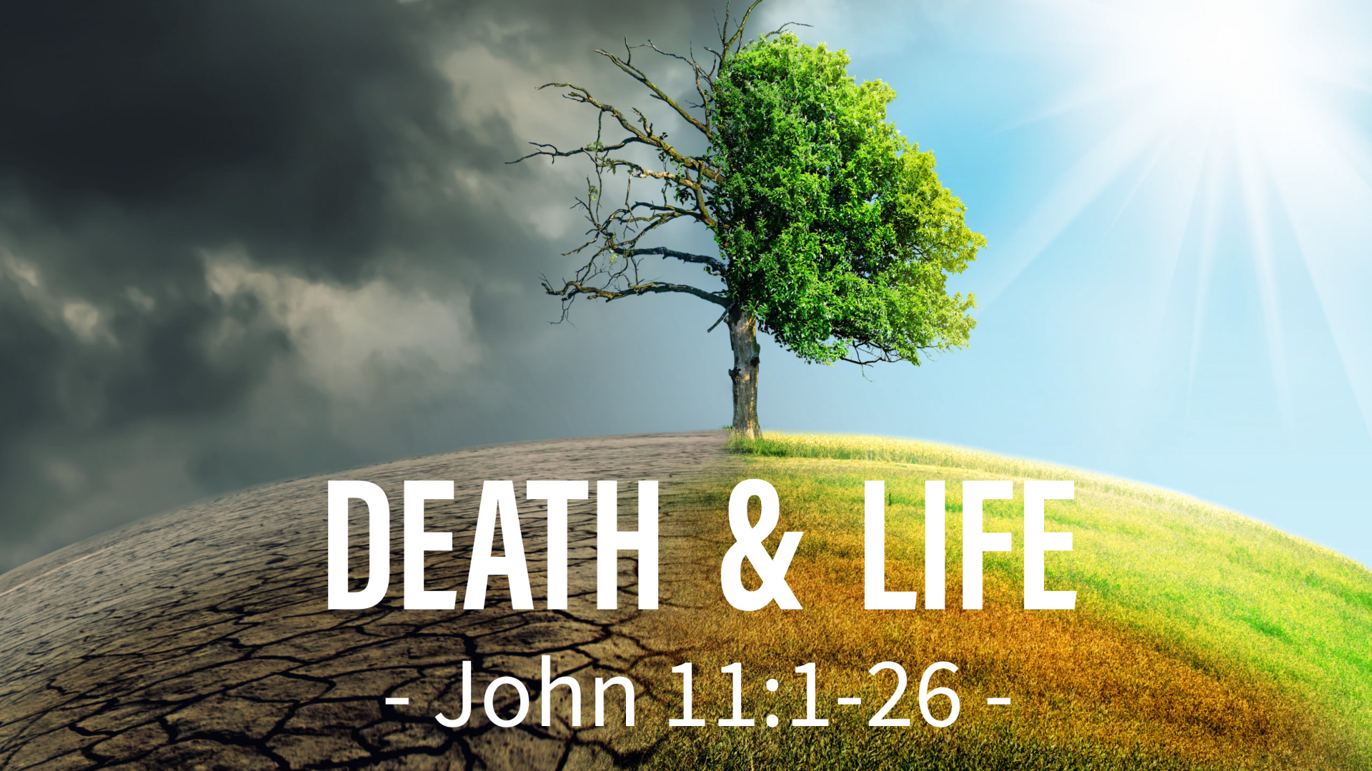 Death & Life - 07/11/2021 episode artwork
