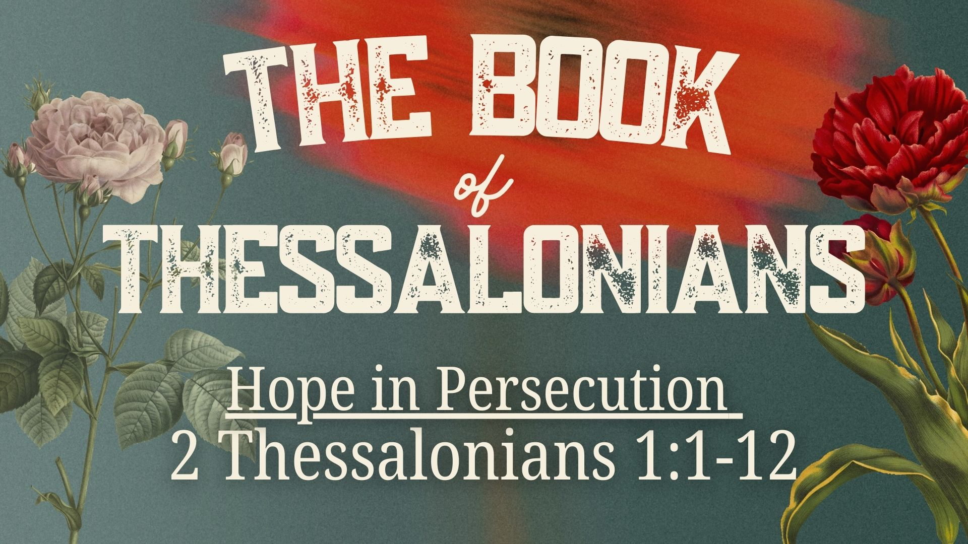 Hope in Persecution - 01/11/2026 episode artwork