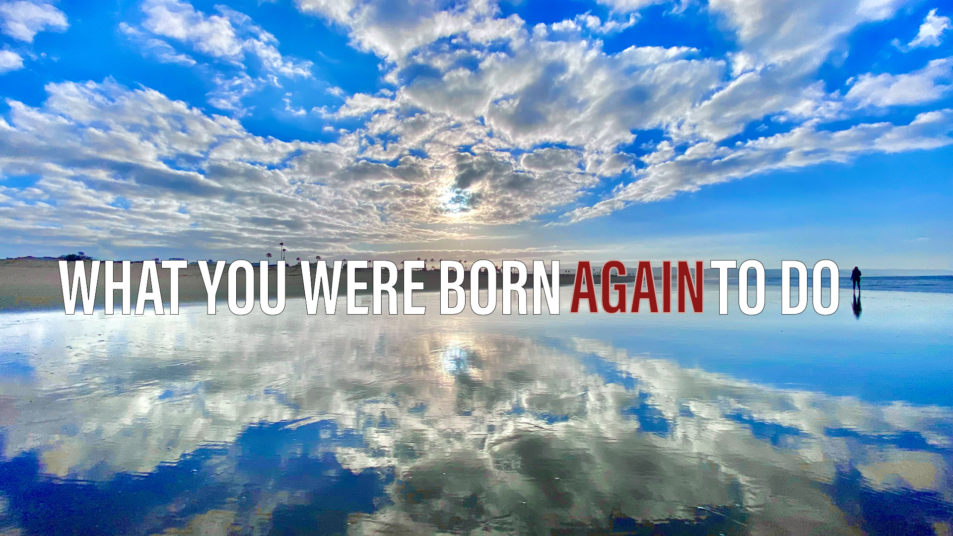 What You Were Born (Again) to Do - 06/26/2022 episode artwork