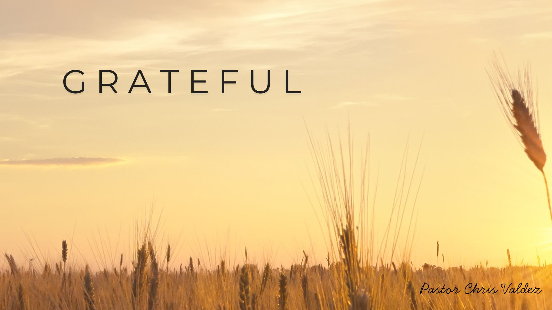 Grateful episode artwork