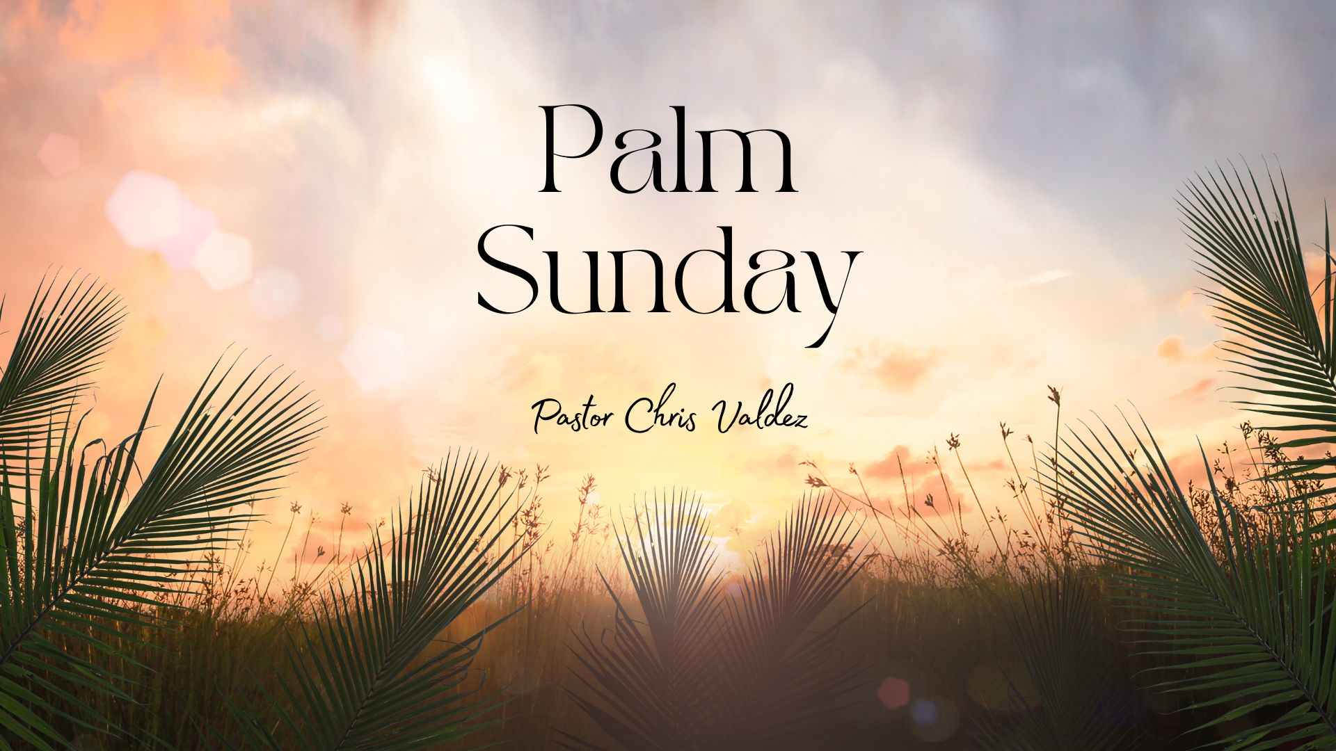 Palm Sunday episode artwork