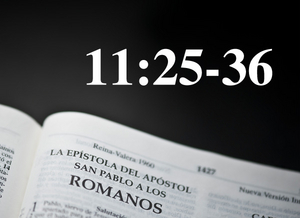 Romanos 11:25-36 / La salvación de israel y la gran misericordia de Dios - Audio episode artwork