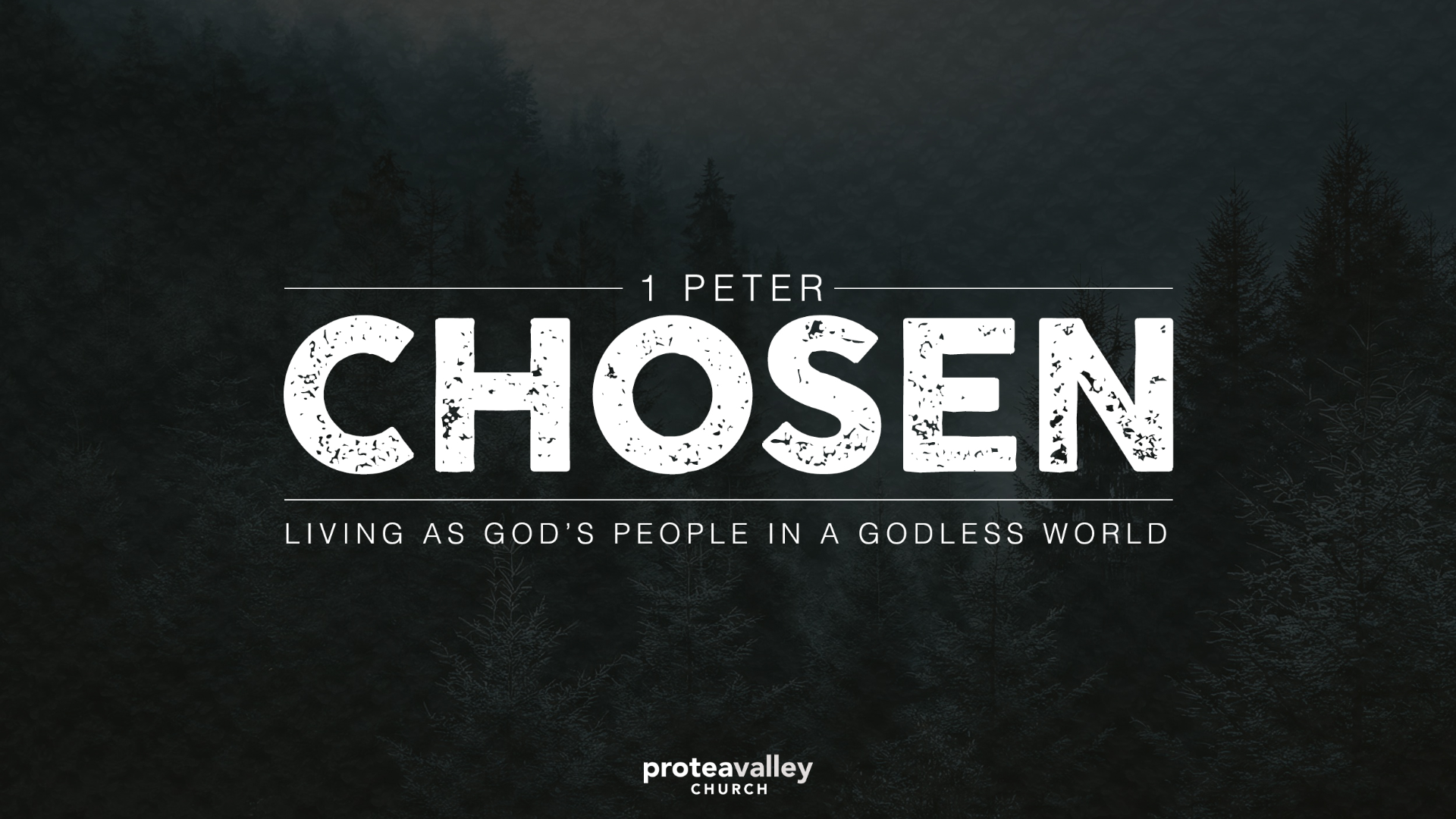 Sunday Service – 15 September 2024