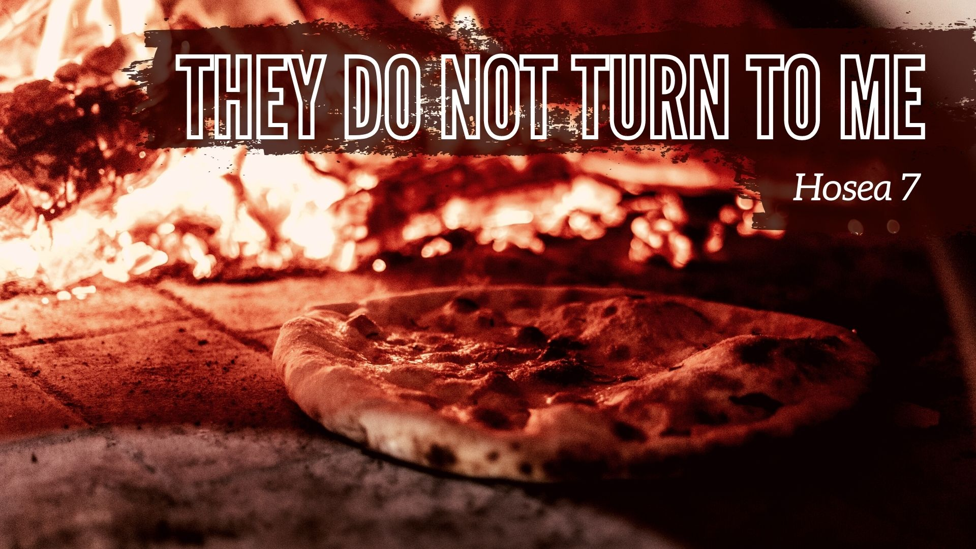 They Do Not Turn To Me | Hosea 7