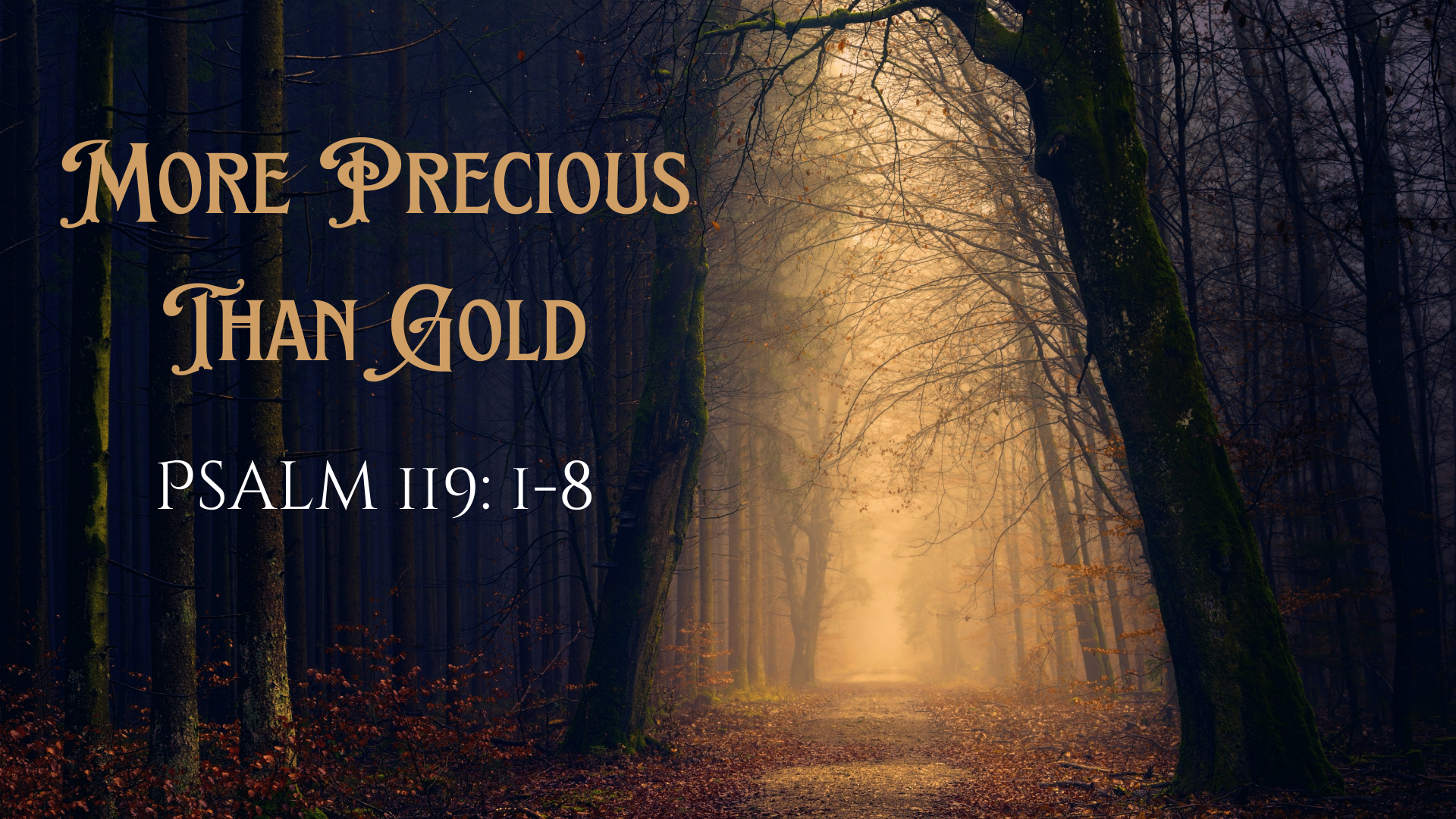 More Precious Than Gold | Psalm 119:1-8