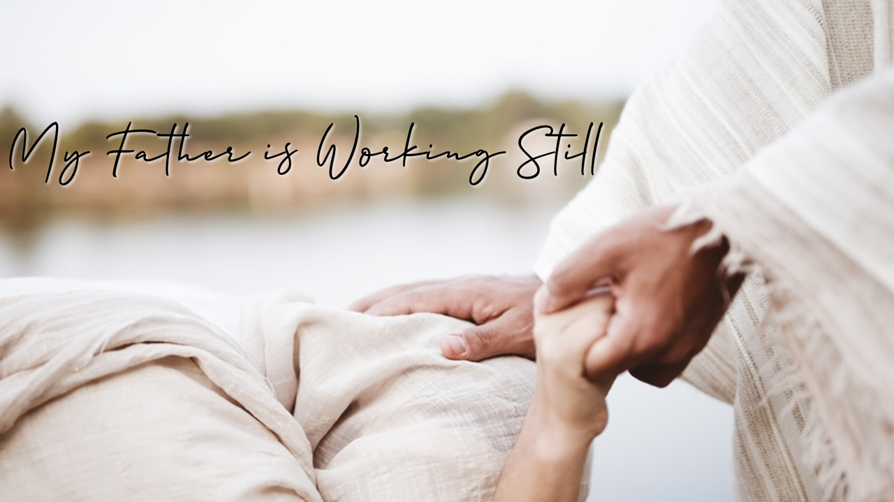 My Father Is Working Still