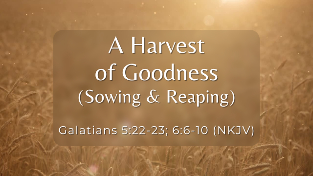 A Harvest of Goodness (Sowing & Reaping)