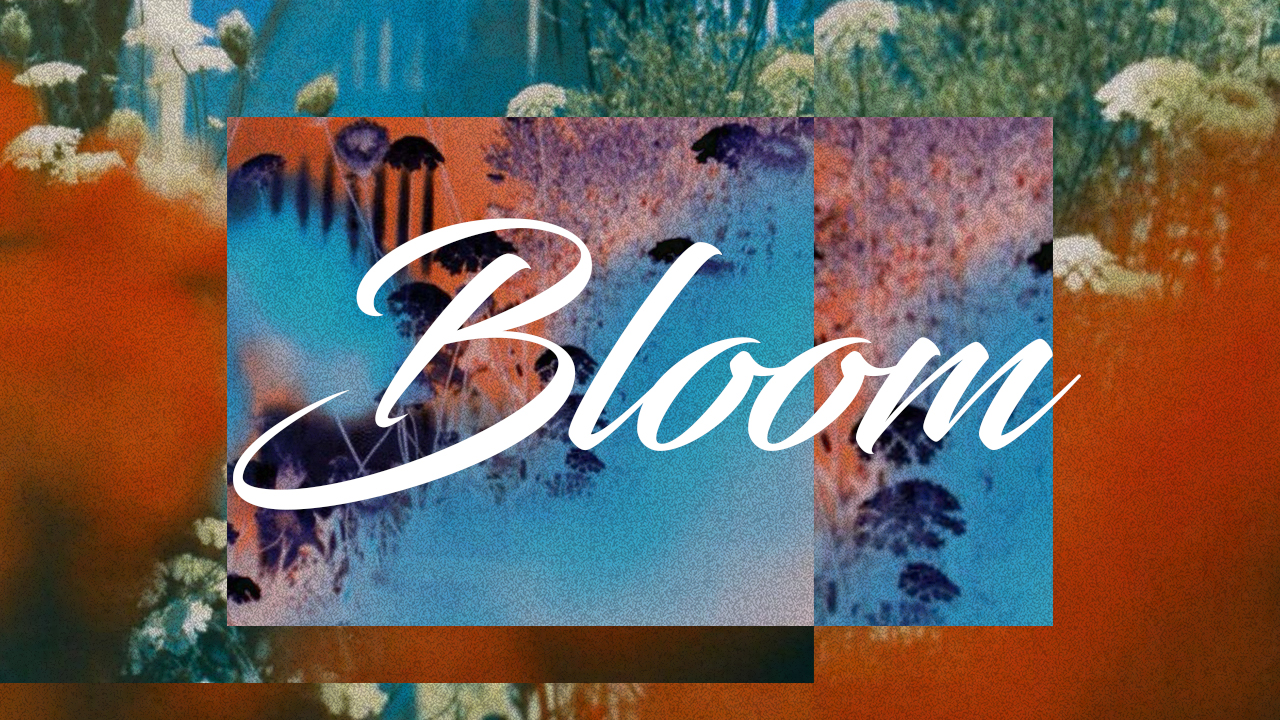 BLOOM | PLANT - Audio