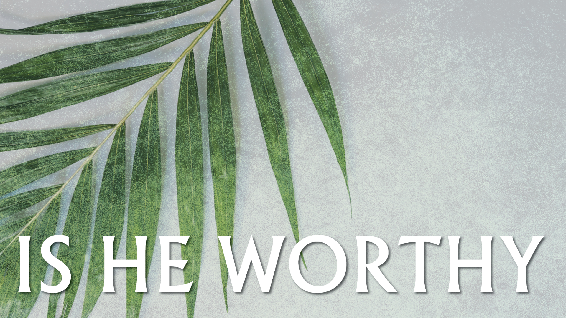Palm Sunday 3.28.21 - Video episode artwork