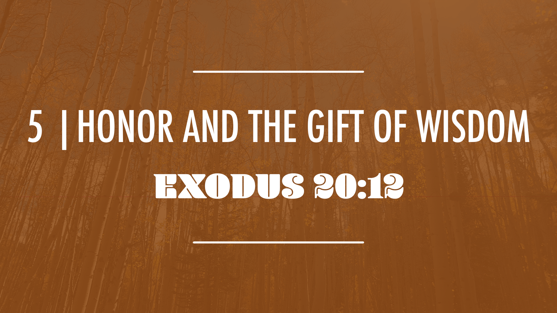 Honor and the Gift of Wisdom - Audio episode artwork
