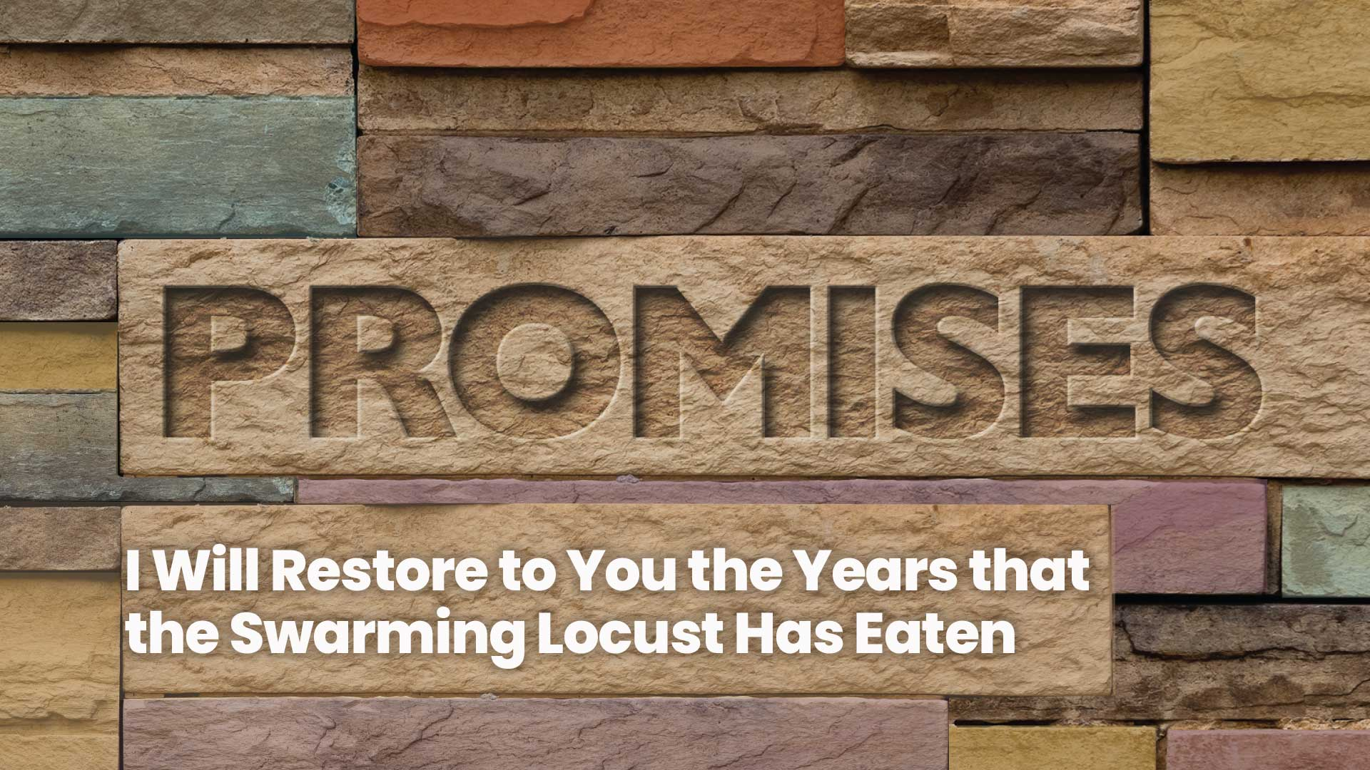 I Will Restore To You The Years That The Swarming Locust Has Eaten - Video episode artwork