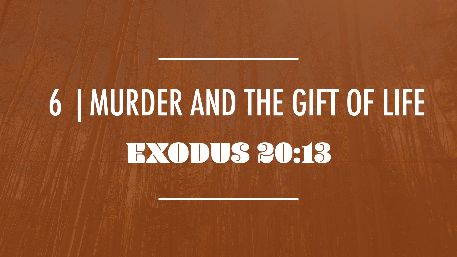 Murder and the Gift of Life - Audio episode artwork