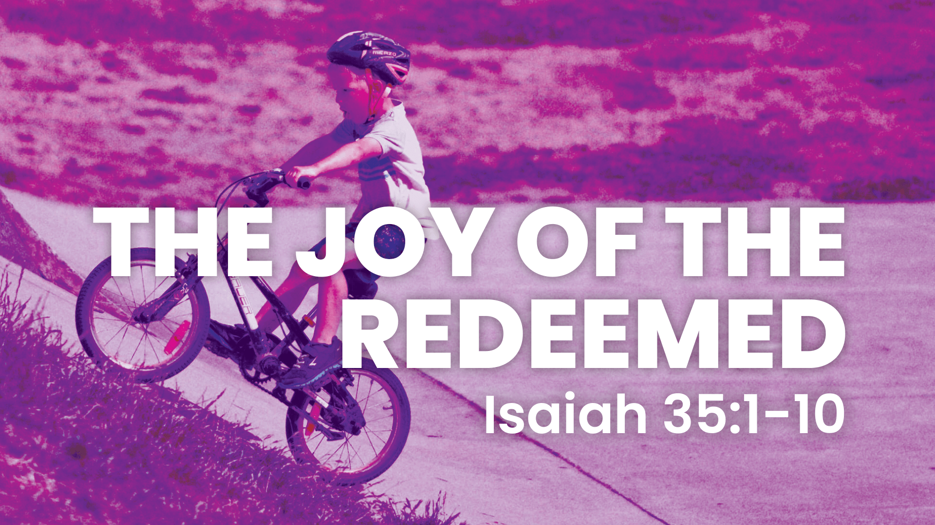 The Joy of the Redeemed - Audio episode artwork
