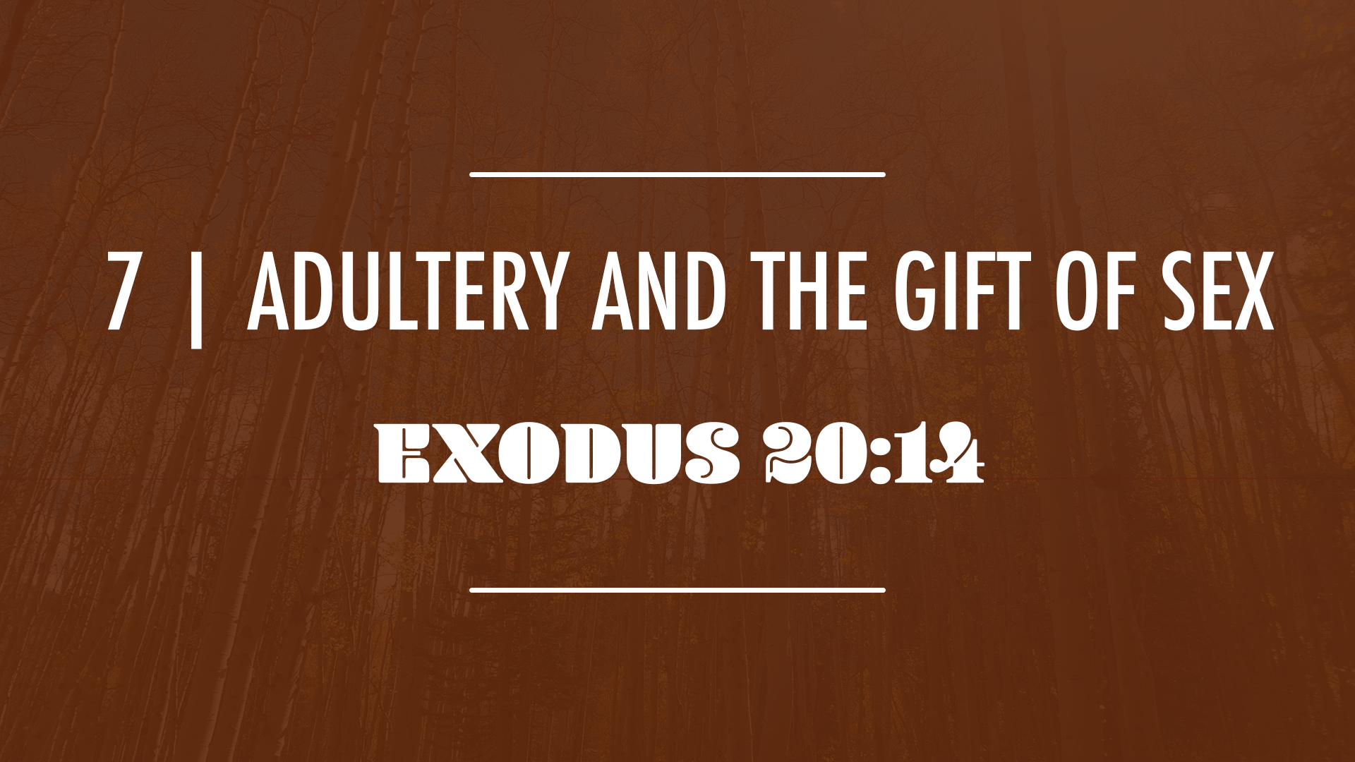 Adultery and the Gift of Sex - Audio episode artwork