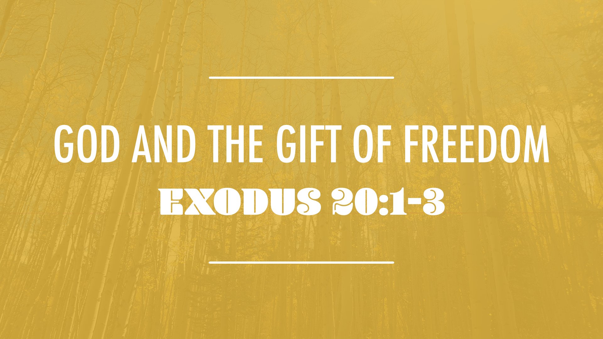 God and the Gift of Freedom - Audio episode artwork