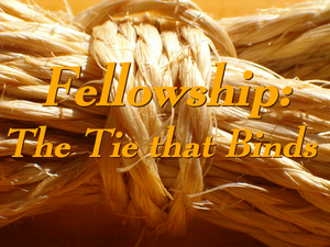 Engrafted into Christ