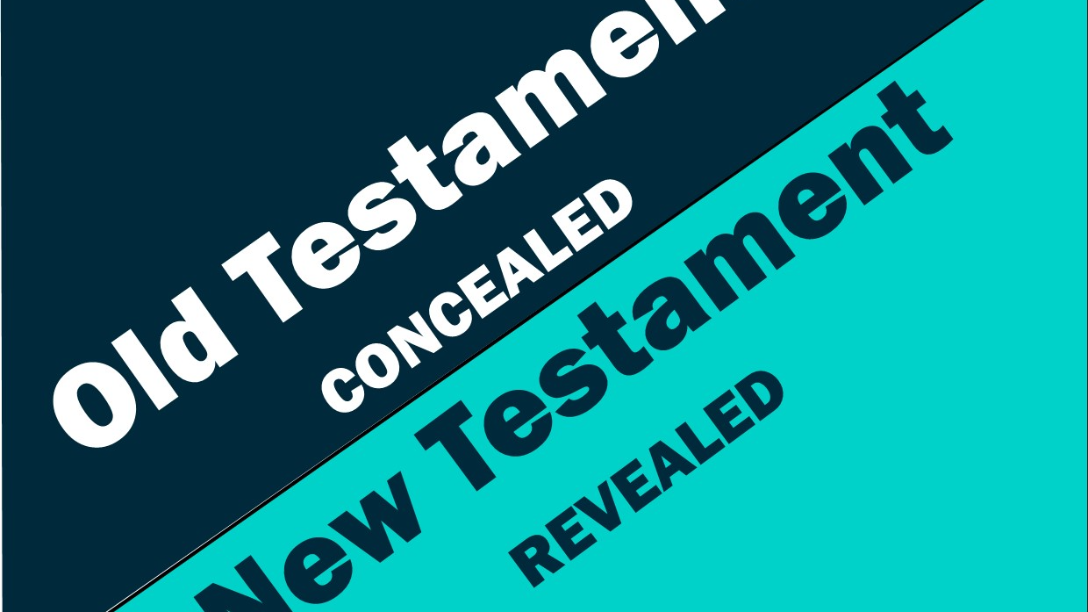 4. The Just Shall Live by Faith - Hebrews - 2020/10/14 (34)