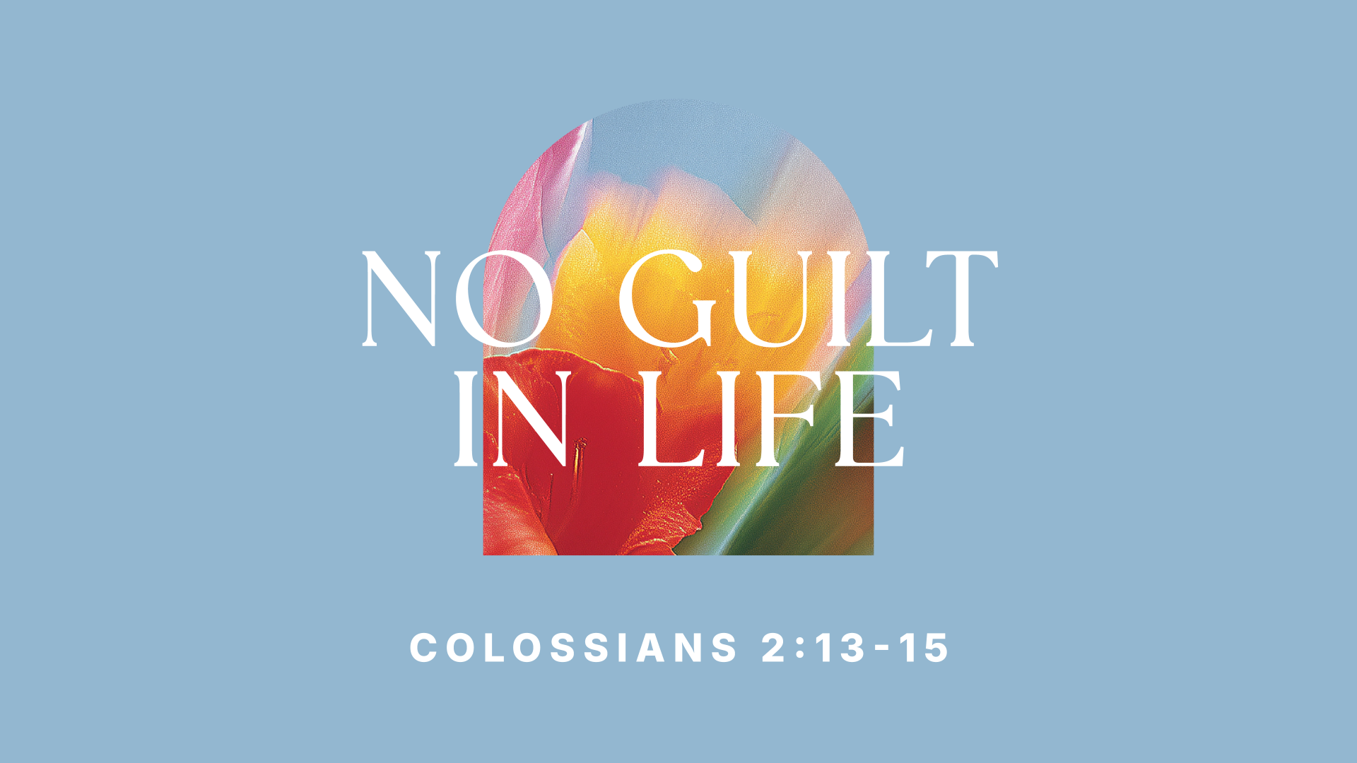 No Guilt in Life episode artwork