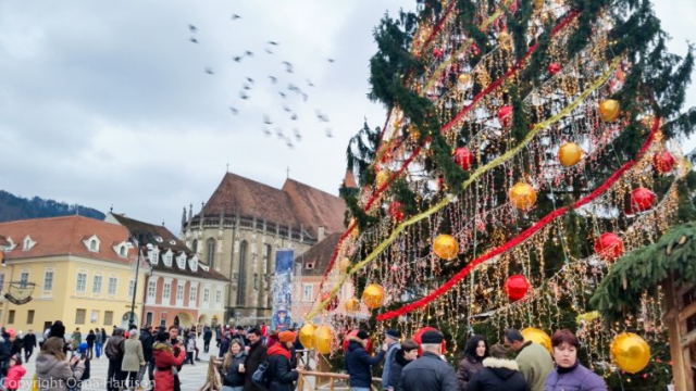 Christmas Around the World - Audio