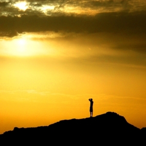 There's something in the struggle