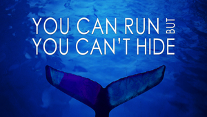 You Can Run, but You Can't Hide - Audio episode artwork