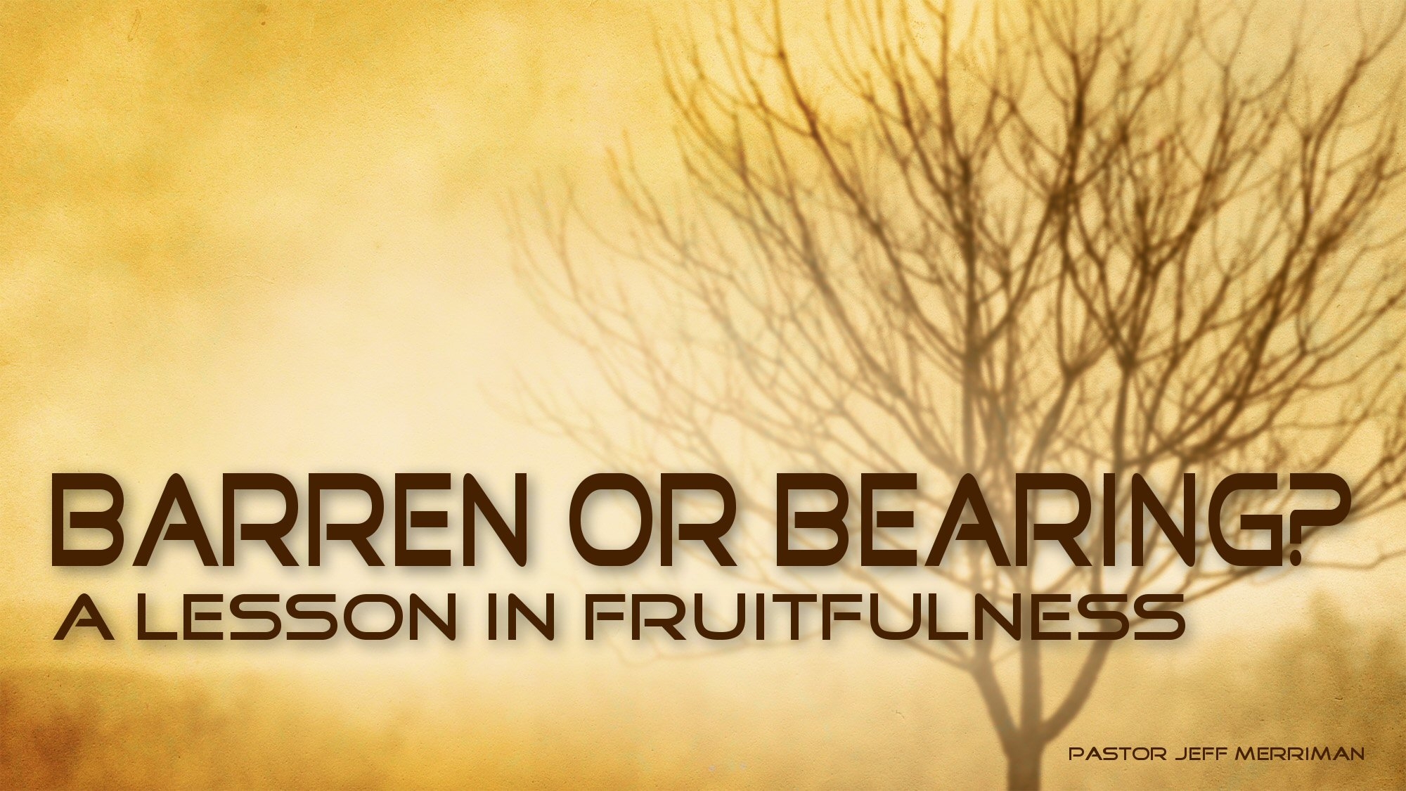 Barren or Bearing - A lesson in Fruitfulness - Audio episode artwork