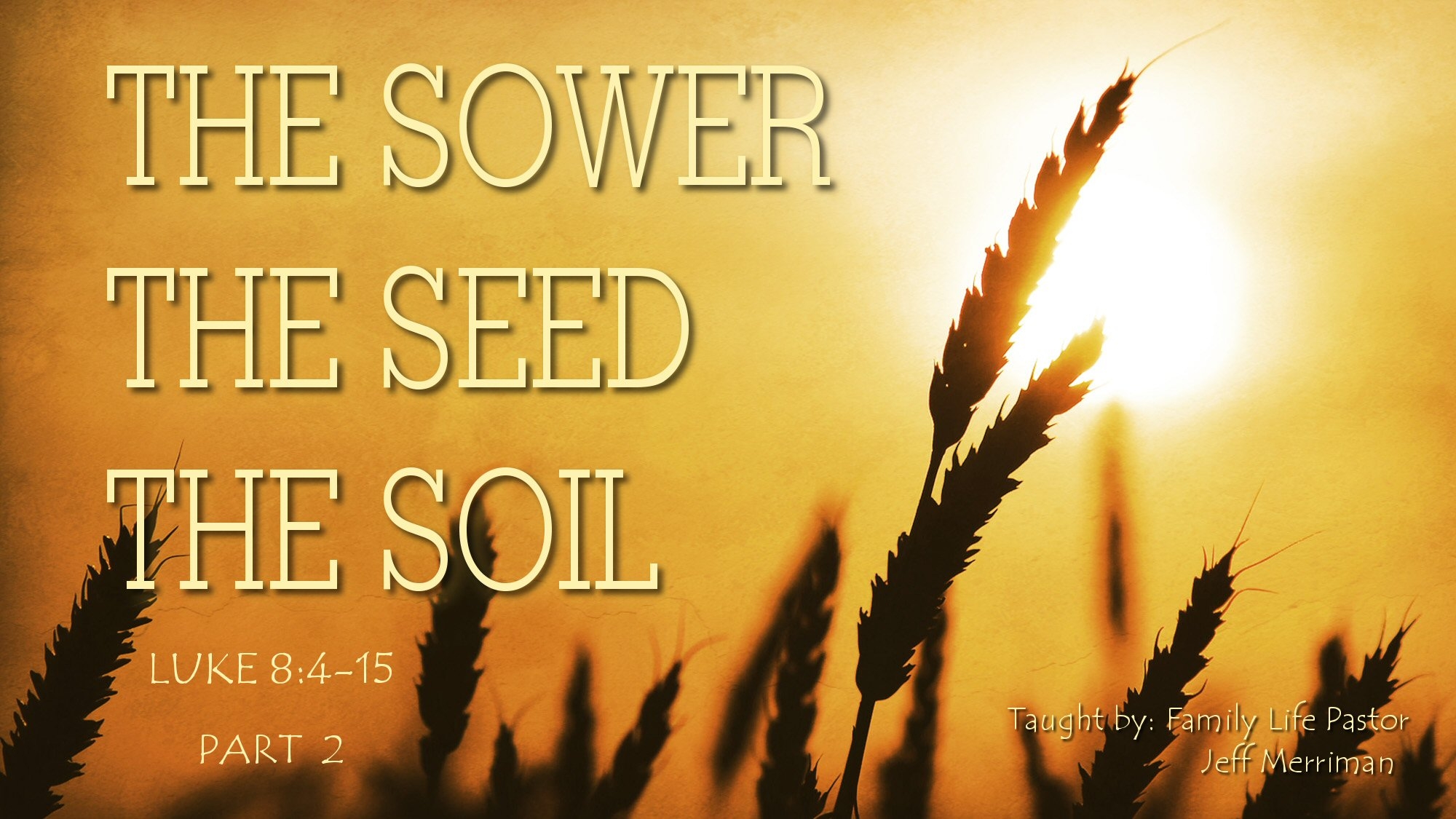 The Sower, the Seed, the Soil - Part 2 - Audio episode artwork
