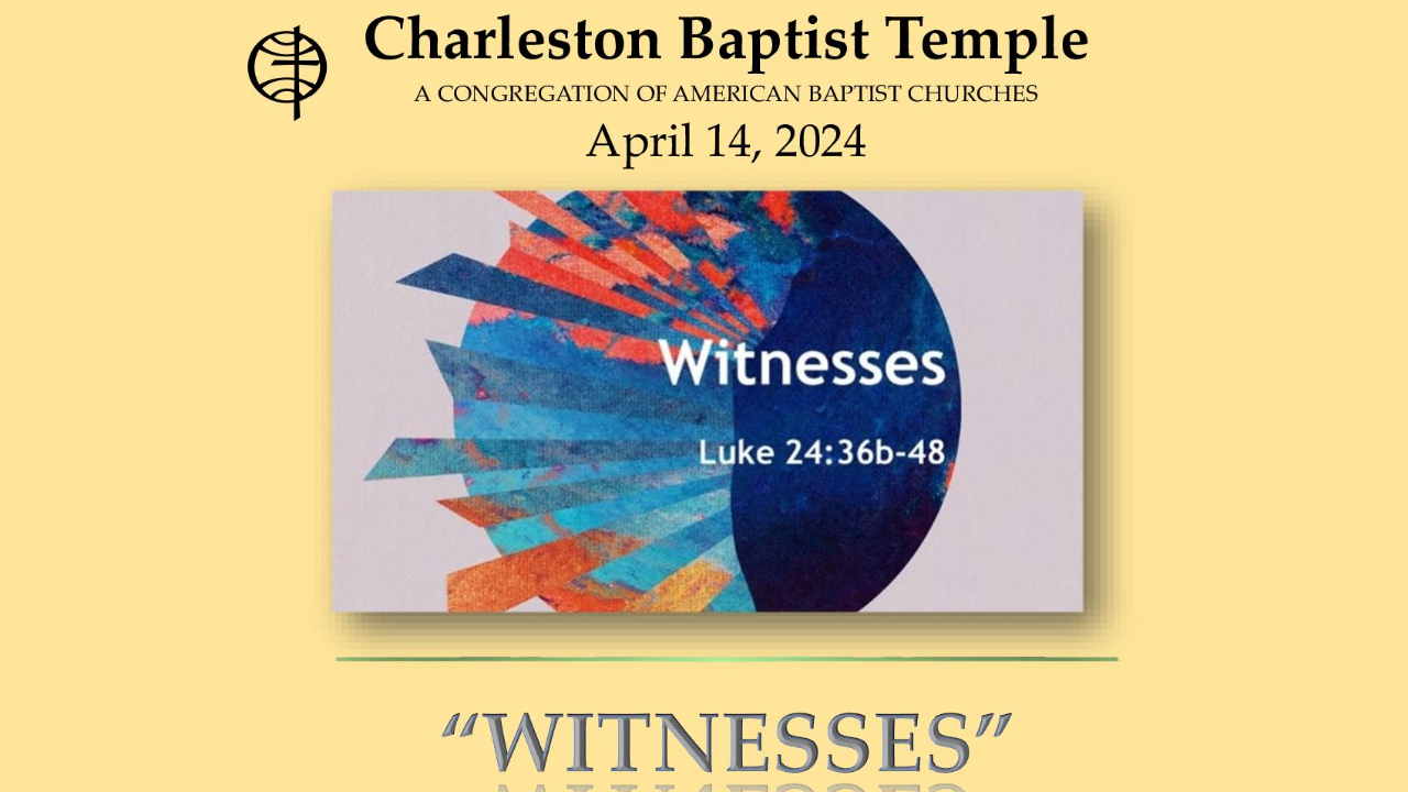 WITNESSES