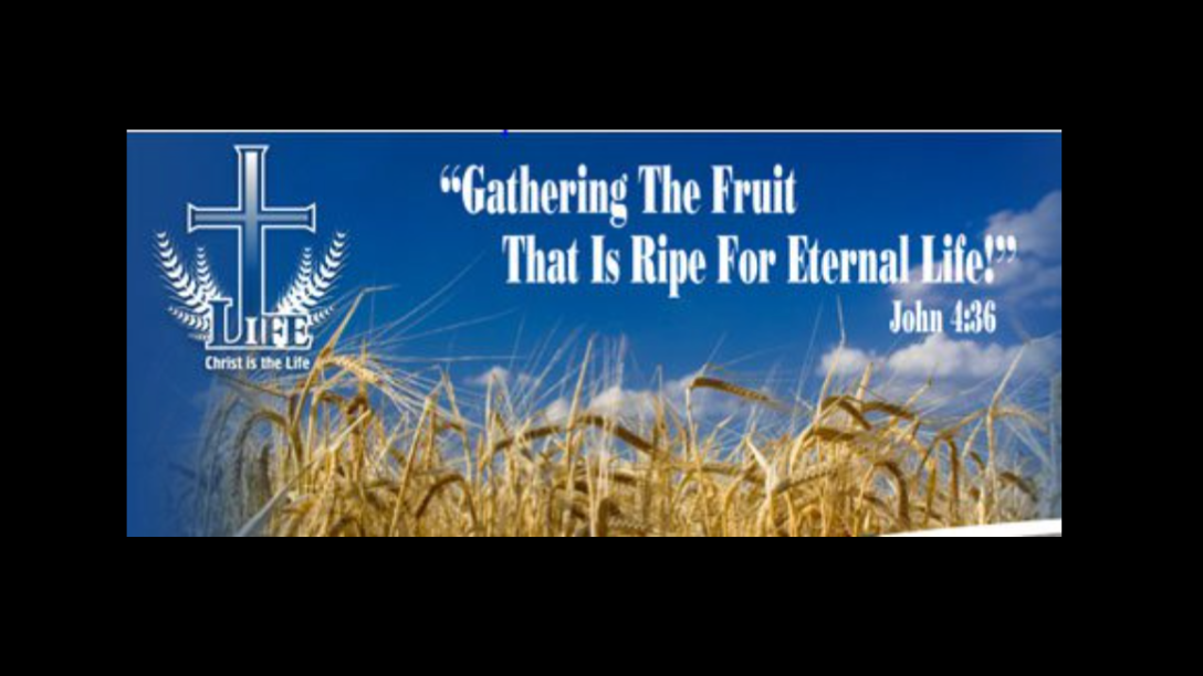 Life Church, Lilburn GA logo