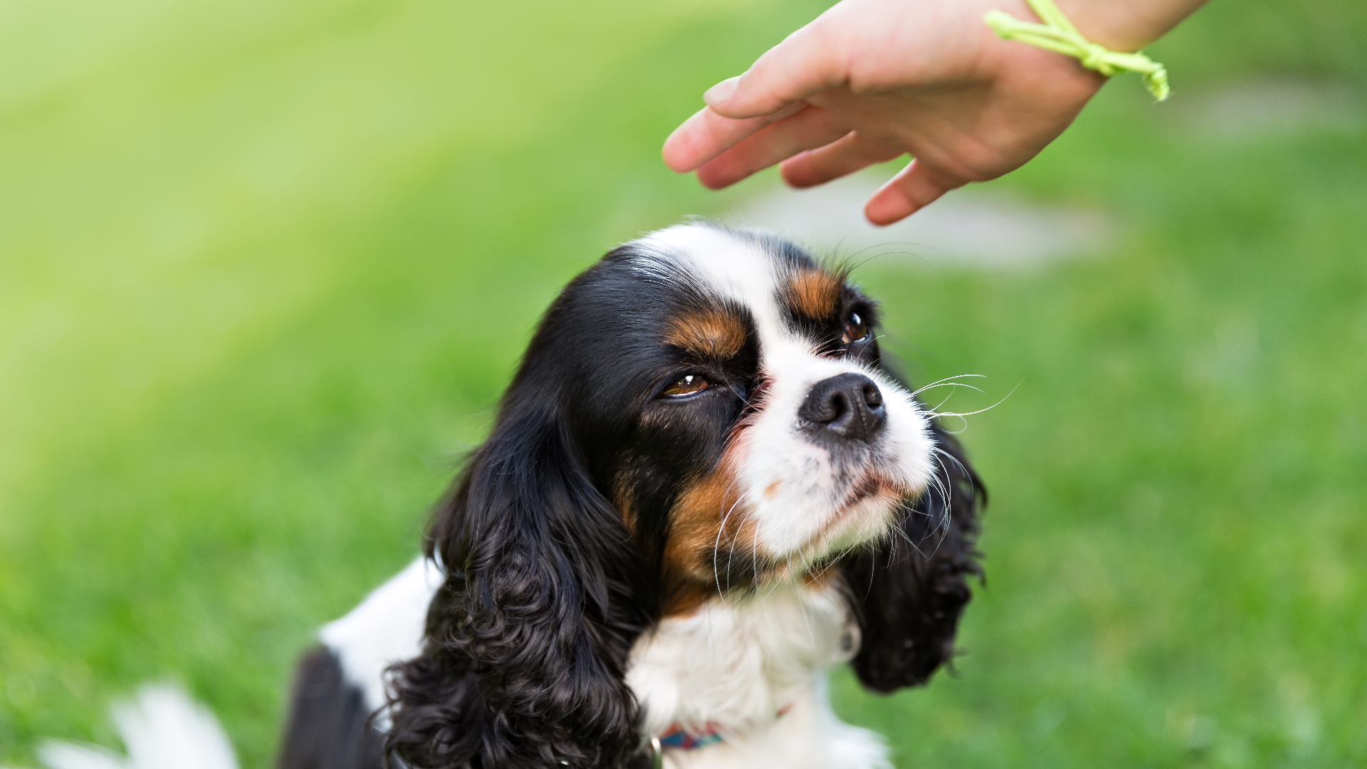 Faithful in All Things? 