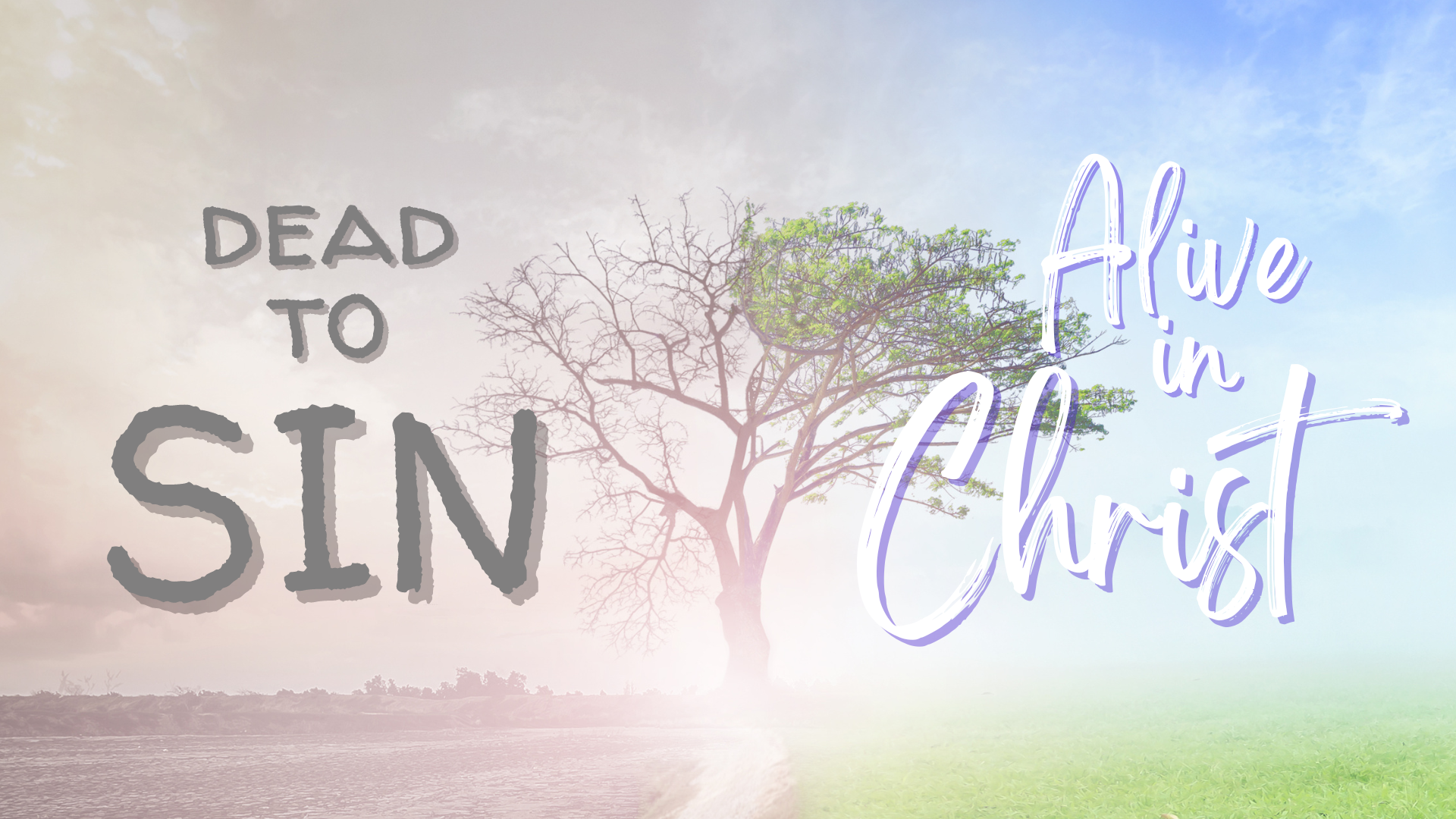 Dead To Sin: Alive In Christ episode artwork