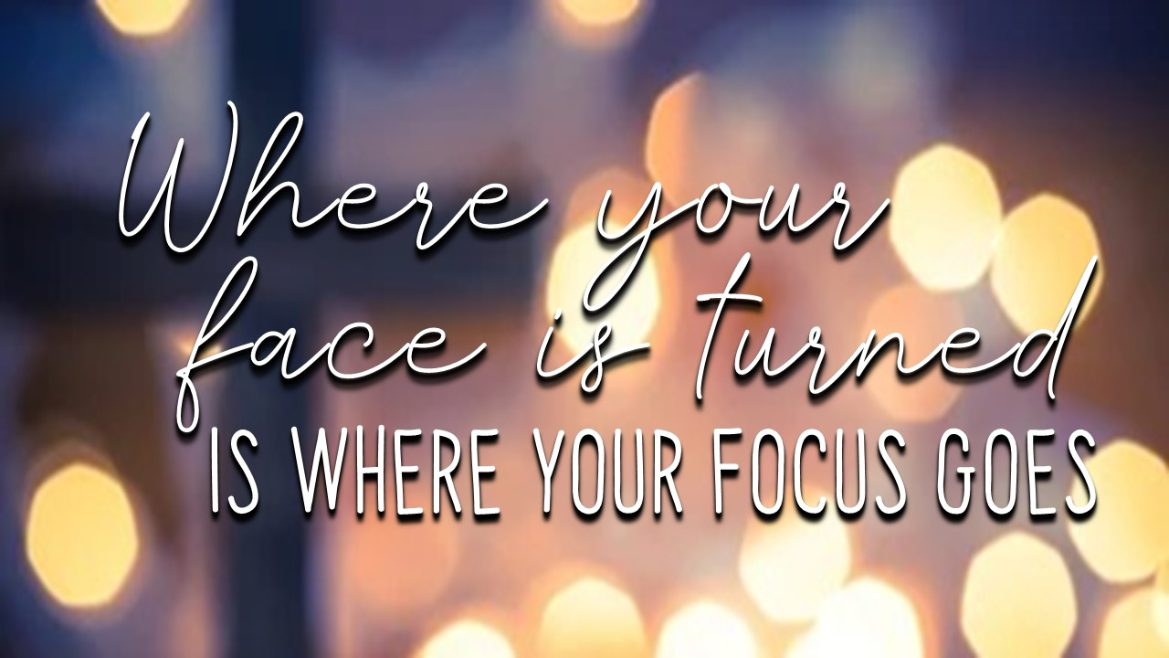 Where Your Face Is Turned, Is Where Your Focus Goes episode artwork