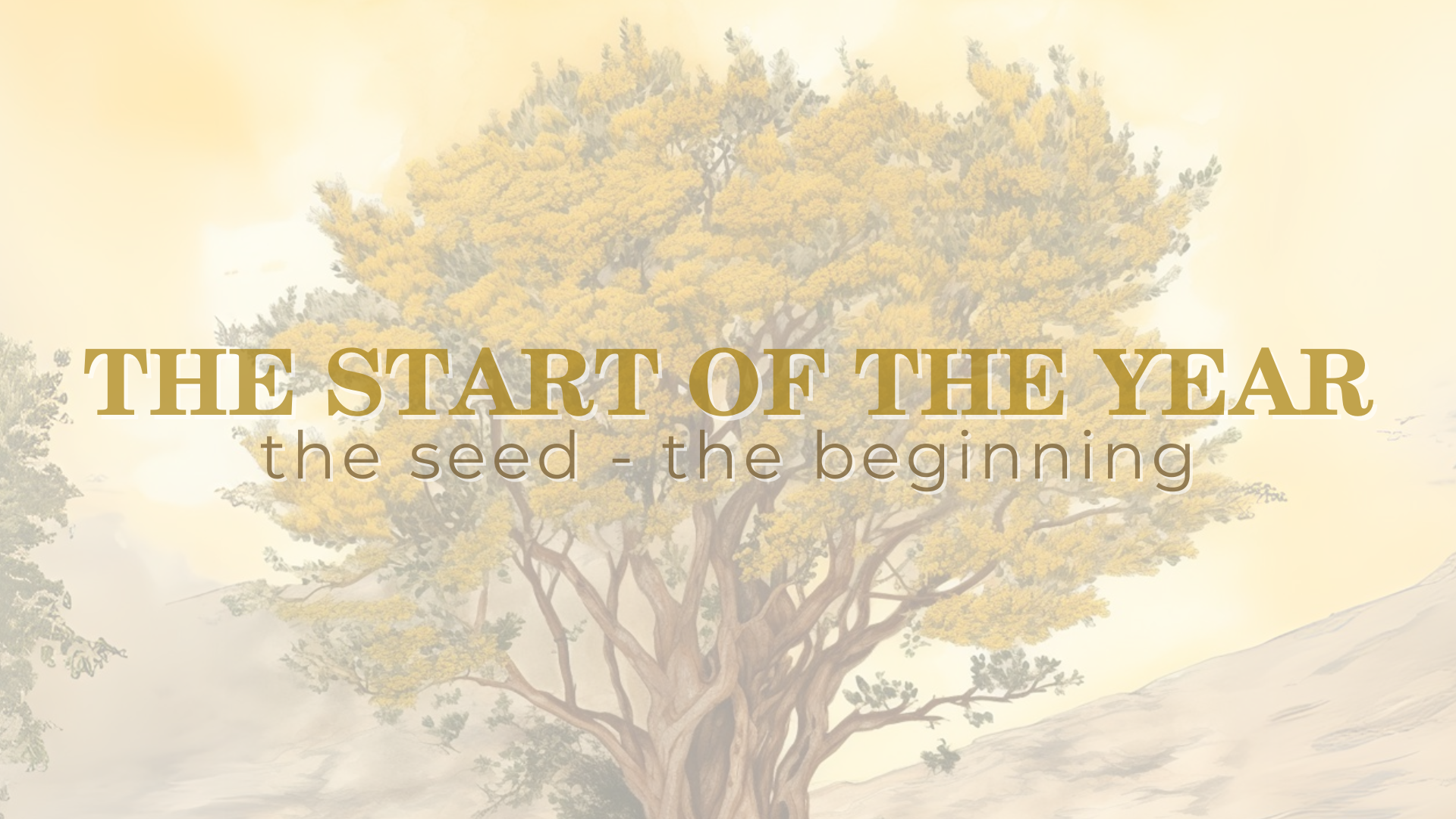 The Start Of The New Year - The Seed, The Beginning episode artwork