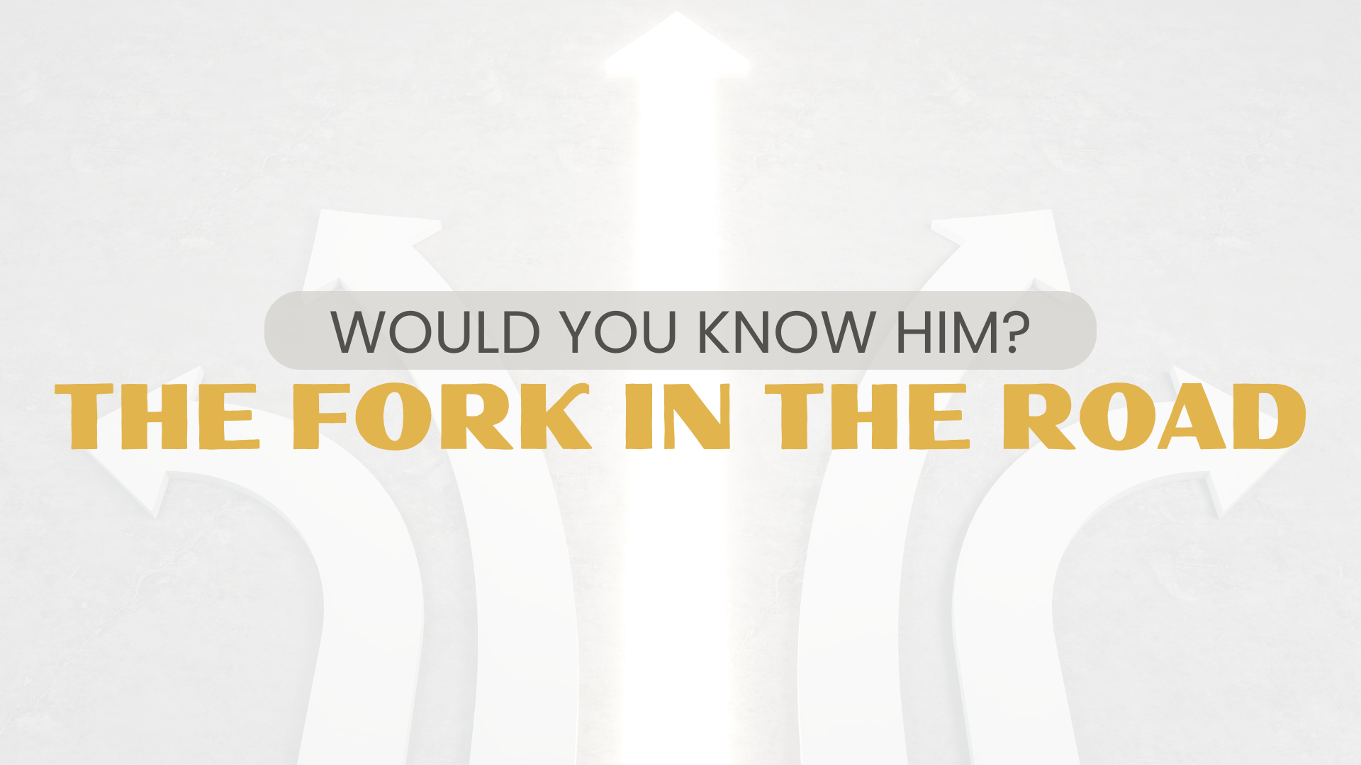 Would You Know Him? - The Fork In The Road episode artwork