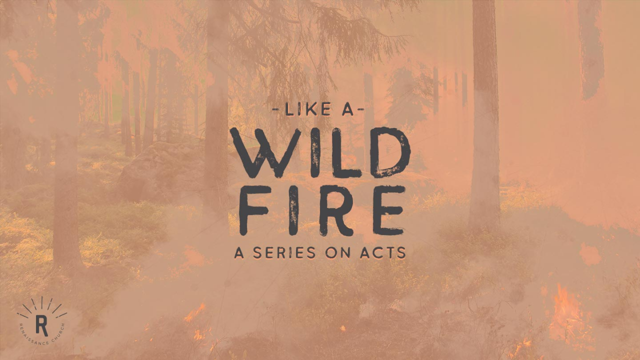 Wildfire: When Jesus Chooses You