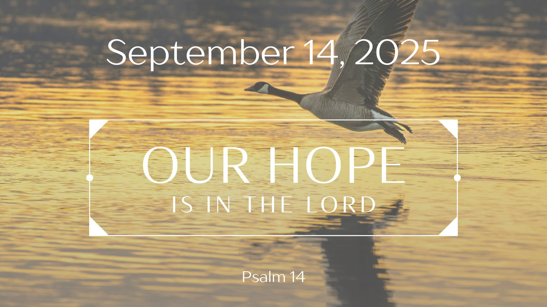 September 14, 2025  - Audio