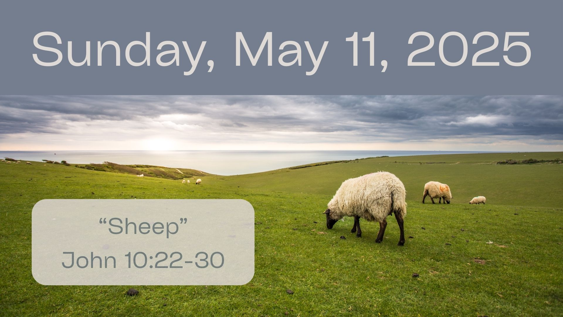 May 11, 2025  - Audio