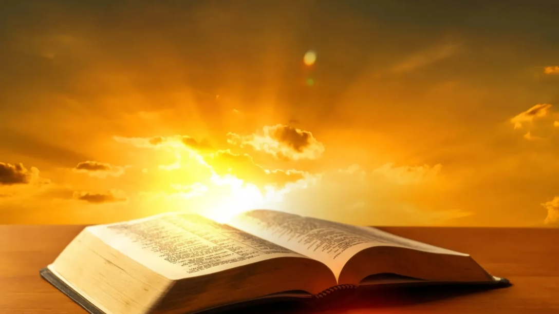 The Church of God in The Word logo